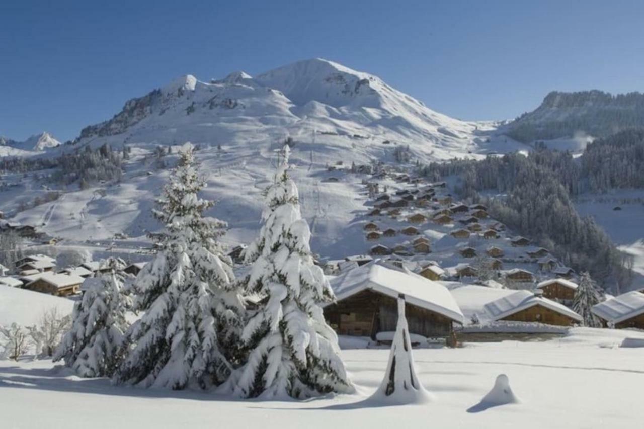 Bel Appartement Avec Vue Exceptionnelle Le Grand-Bornand Bagian luar foto