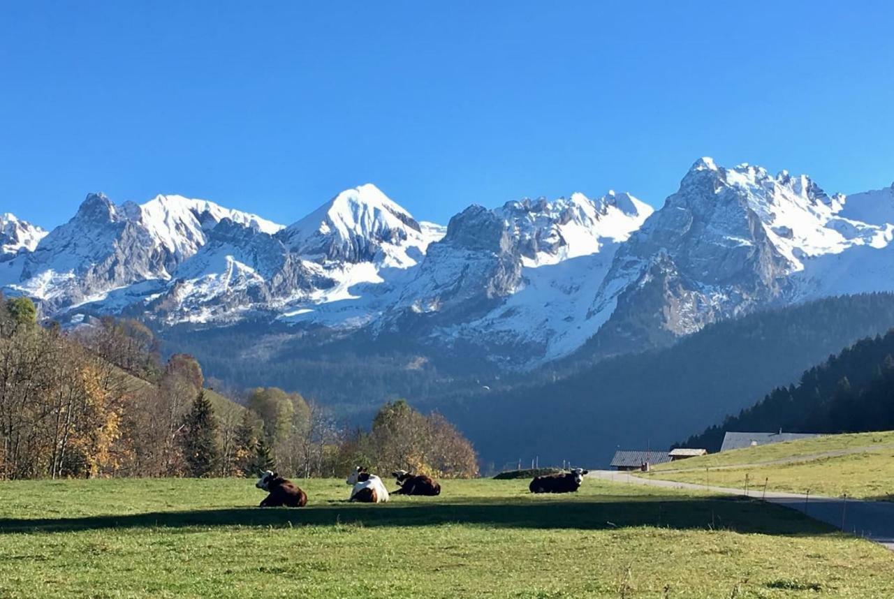 Bel Appartement Avec Vue Exceptionnelle Le Grand-Bornand Bagian luar foto